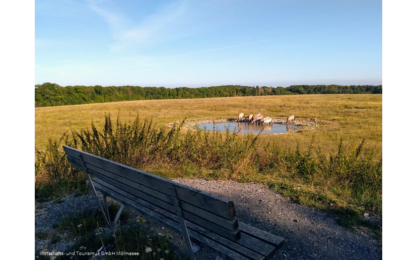 Naturschutzgebiet Kleiberg