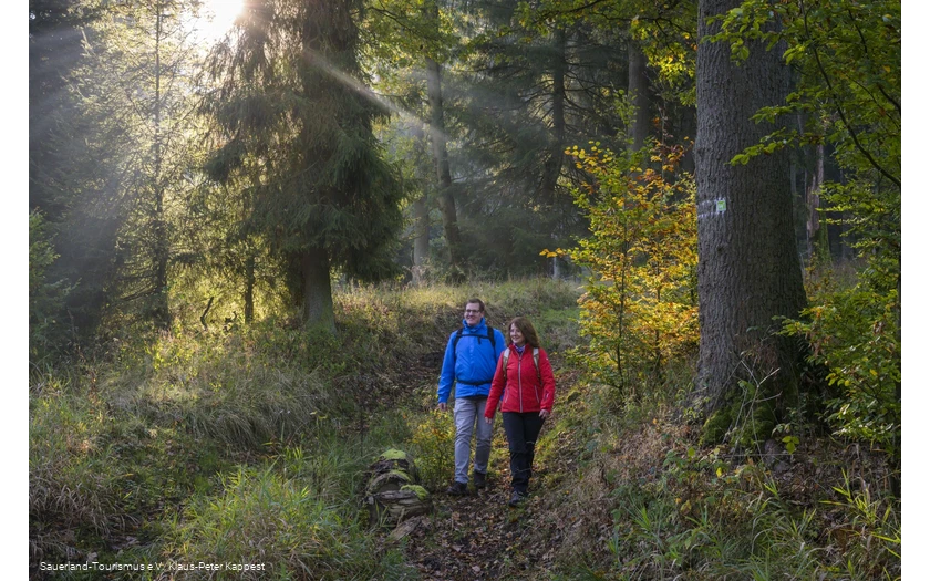 Auf der Sauerland-Waldroute am Möhnesee