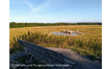 Naturschutzgebiet Kleiberg