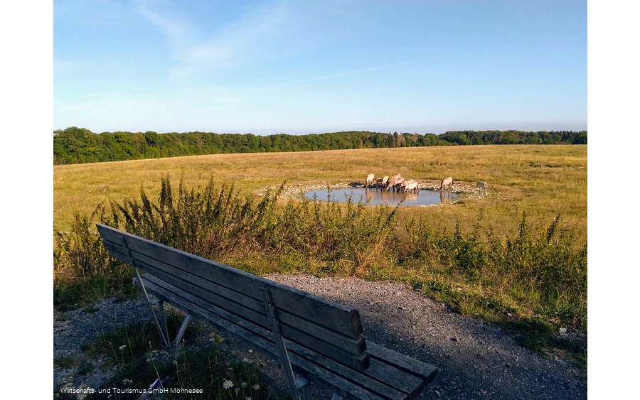 Naturschutzgebiet Kleiberg