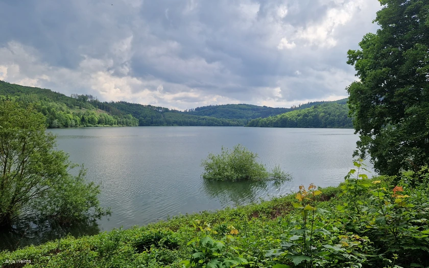 Blick auf den Hennesee 