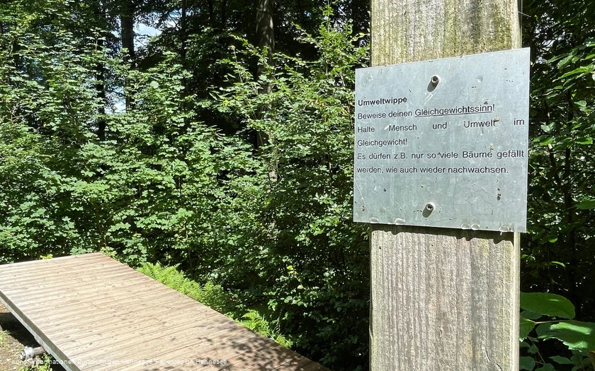 Umweltwippe am Sinnepfad am Hennesee