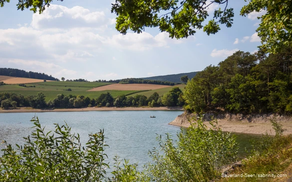 Blick auf den See und die Naturidylle am Ufer