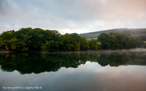Dicht bewachsenes Biggeseeufer