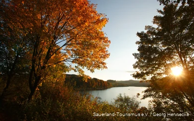 Hennesee Herbst 2.jpg