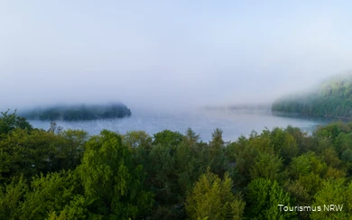 Der Biggesee-Listersee taucht hinter einem Waldstück auf. Über dem See steigt Nebel auf.