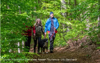 Rundwanderweg Diemelsee Wirmighausen