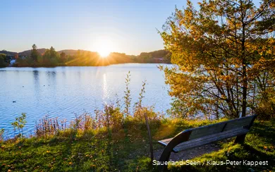 Sorpesee Herbst.jpg