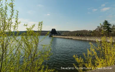 Blick auf den Möhnesee und seine Staumauer im Frühling. Die umliegenden Büsche kriegen erste Blätter.