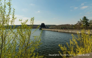 Blick auf den Möhnesee und seine Staumauer im Frühling. Die umliegenden Büsche kriegen erste Blätter.