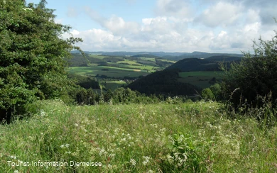Blick auf Deisfeld und Schweinsbühl