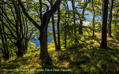 Laubwald bewachsener Gipfel