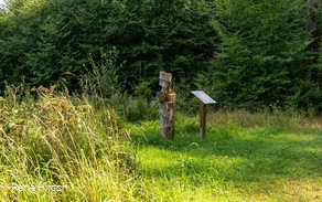 Verweil-Ort Lebensringe