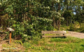 Verweil-Ort Ankommen