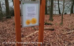 Eine der 12 Stationen am Wogenweg am Hennesee