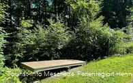Am Sinnepfad  - Wippe