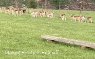 entlang des ZeichenKurs.jpg