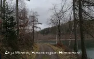 Auf dem Wogenweg am Hennesee