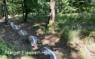 Aus der Reihe.jpg
