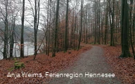 Wegbeschaffenheit Wogenweg am Hennesee