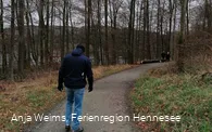 Auf dem Wogenweg am Hennesee