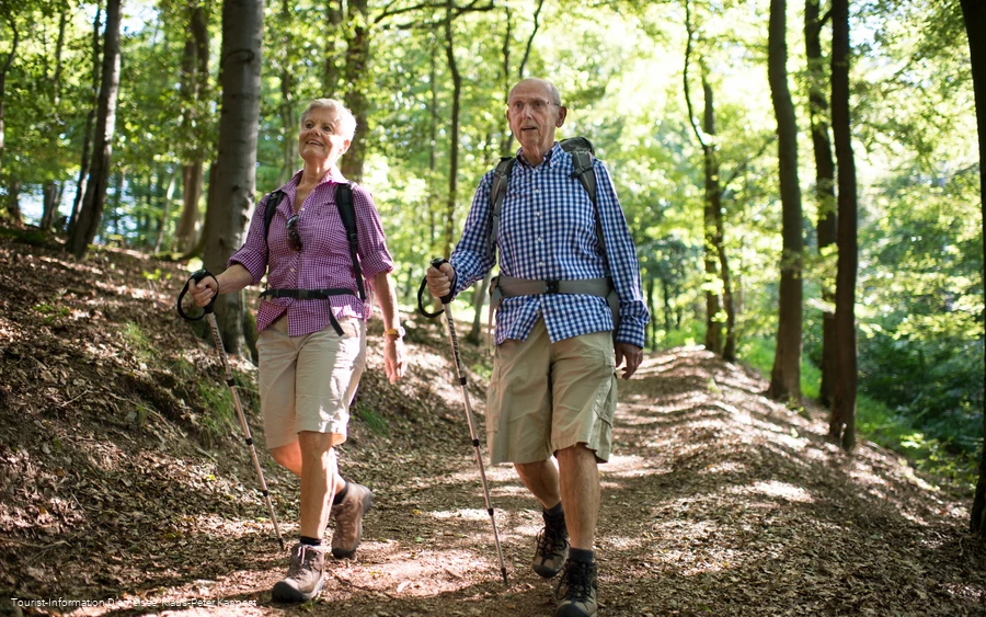 Wandern Richtung Rhenequelle in Diemelsee-Schweinsbühl