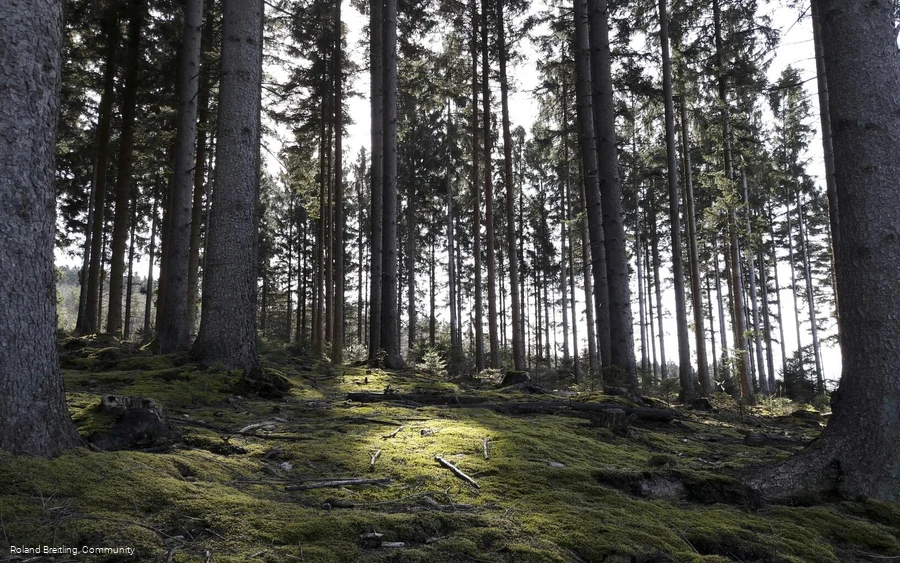 Montag, 27. März 2017 06:50:42