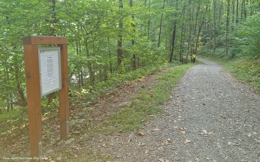 Wogenweg Steele mit Weg Sommer