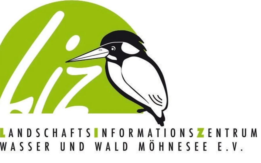 Liz Logo Liz Logo