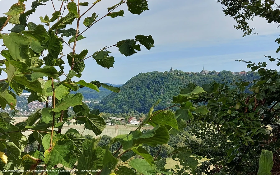 Ausblick Obermarsberg