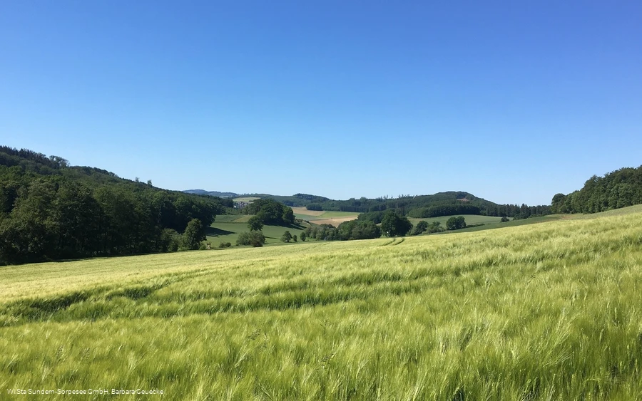 Blick nach Mellen im Mühlbachtal