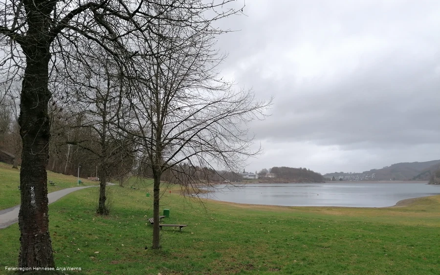 Blick über die Berghauser Bucht und den Hennesee im Herbst