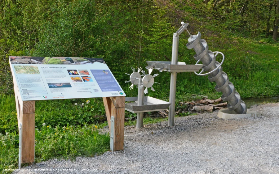 Bionik-Pfad - Schwimmflossen