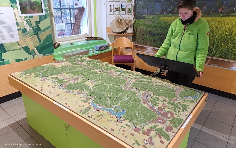 NP-Station-Liz