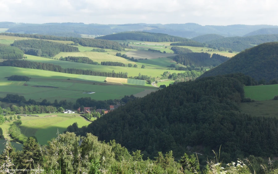 Blick auf Deisfeld und Schweinsbühl