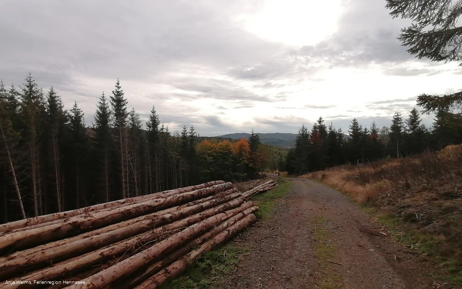 Auf dem F3 Rundweg Küppelturm