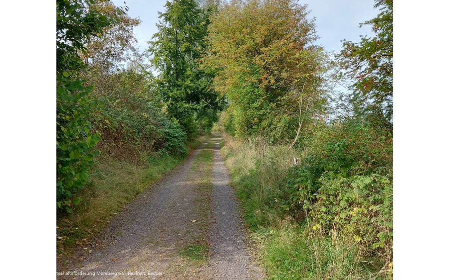 Weg bei Obermarsberg