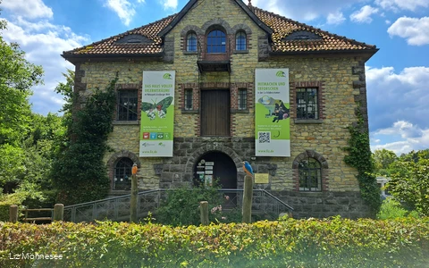 Liz (c) Liz Möhnesee.jpg