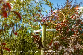wegweiser-fahrrad-diemelquelle c) david-heise-tourist-information-willingen.jpg