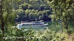 MS Hennesee