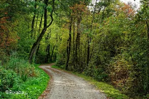 Wanderweg.jpg
