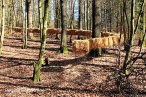 galoppierende_strohhaufen.jpg