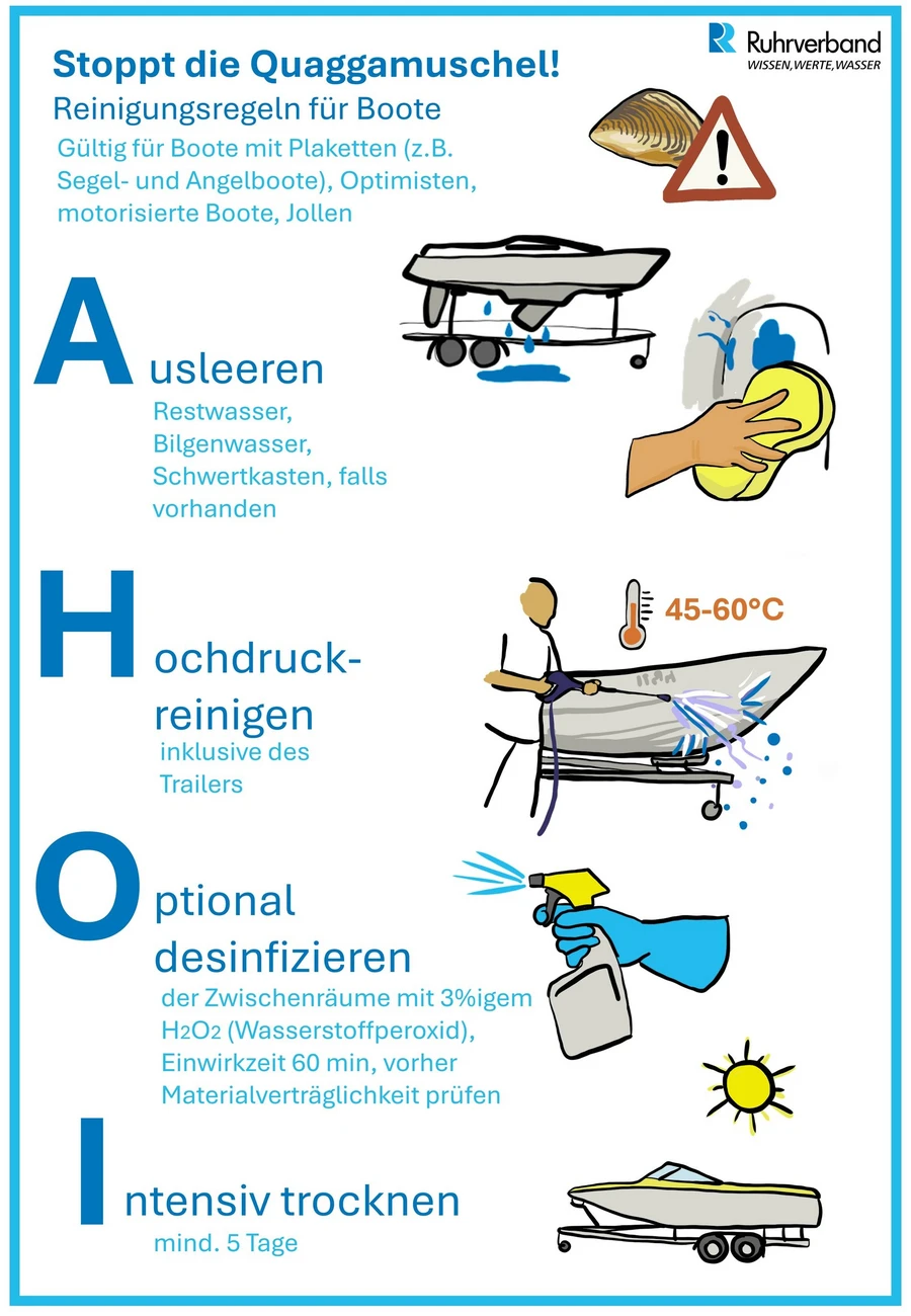 Plakat, das die AHOI-Regeln gegen die Quaggamuschel erklärt: Ausleeren, Hochdruck reinigen, Optional desinfizieren und Intensiv trocknen