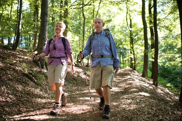 Wandern Richtung Rhenequelle in Diemelsee-Schweinsbühl