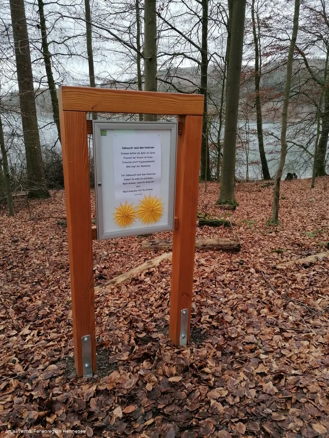 Eine der 12 Stationen am Wogenweg am Hennesee