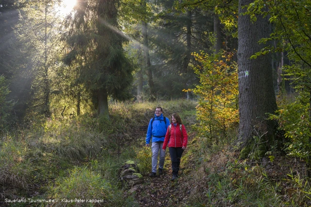 Auf der Sauerland-Waldroute am Möhnesee