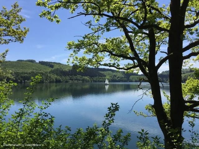 Hennesee