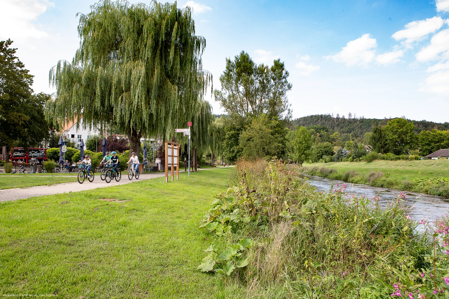 Diemelradweg - Entlang des Flusses an den Bleichen (Marsberg)