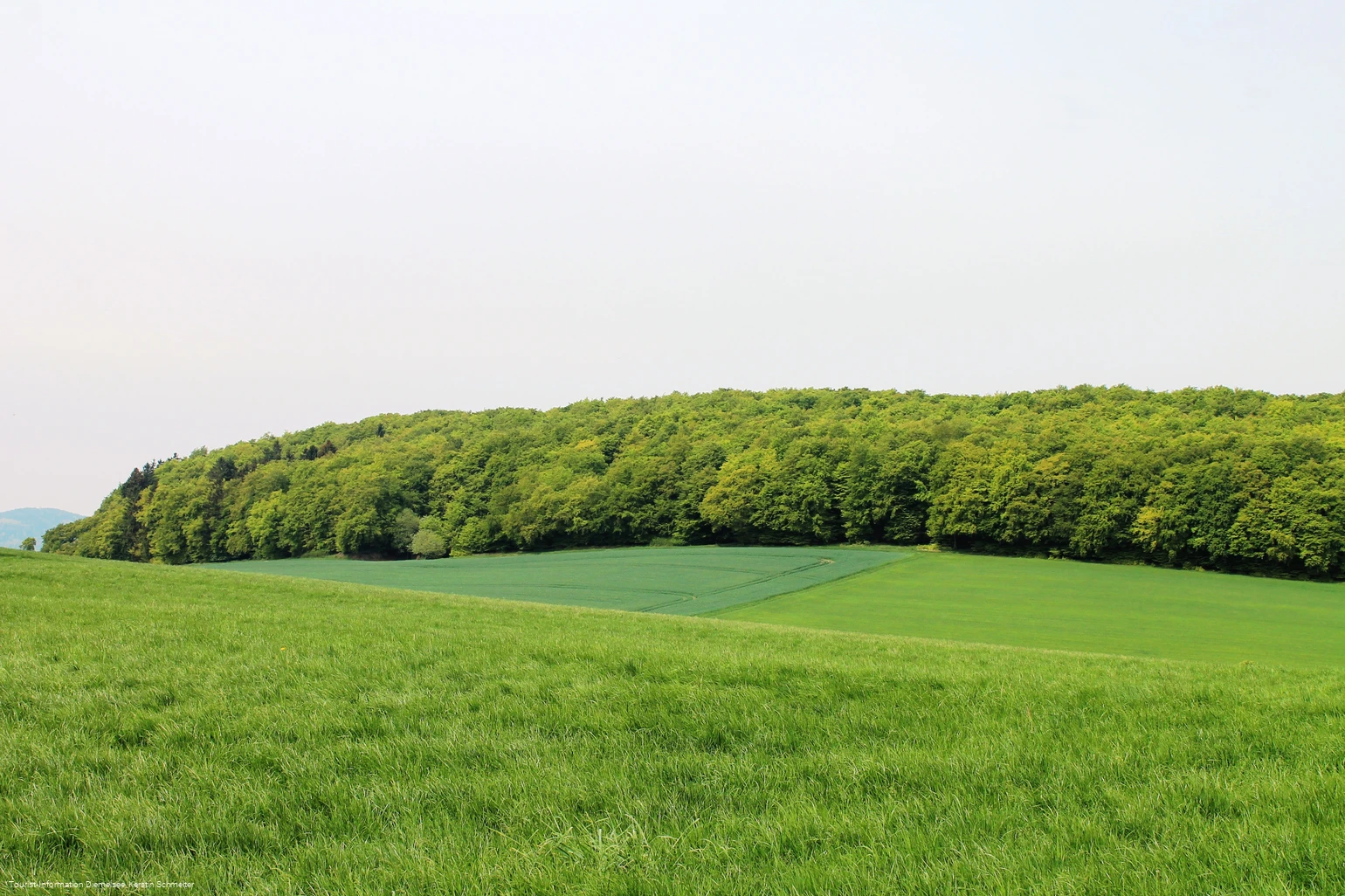 Wandern bei Benkhausen