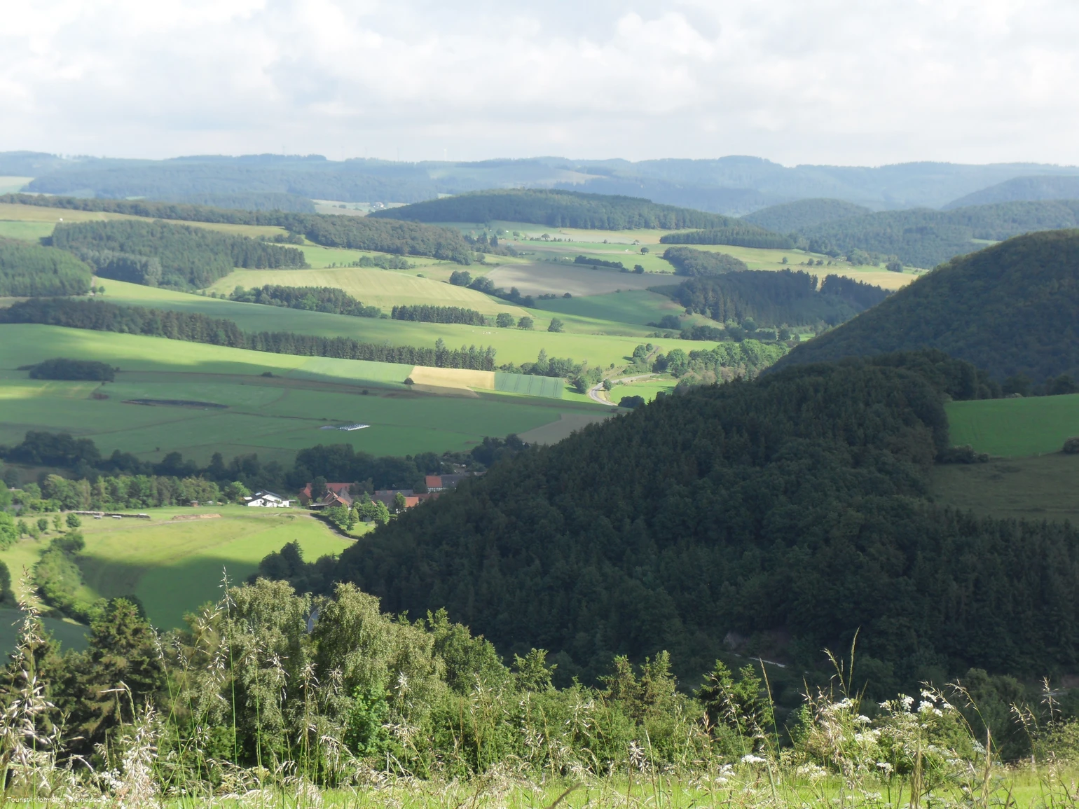 Blick auf Deisfeld und Schweinsbühl